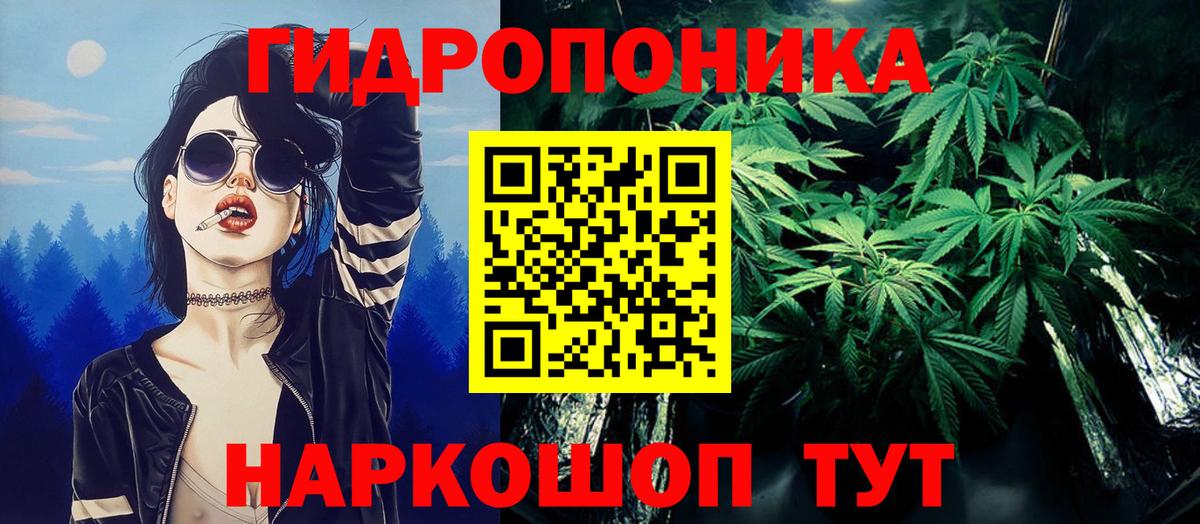 Марихуана план  Канабис марихуана  Бошки марихуана OG Kush  Людиново  Вход с VPN 